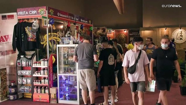 Уругвай: ставка на коноплю