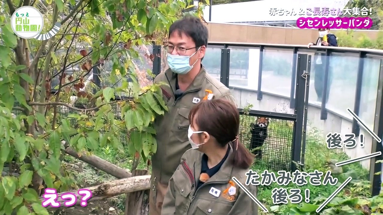 Funny Takamina #1