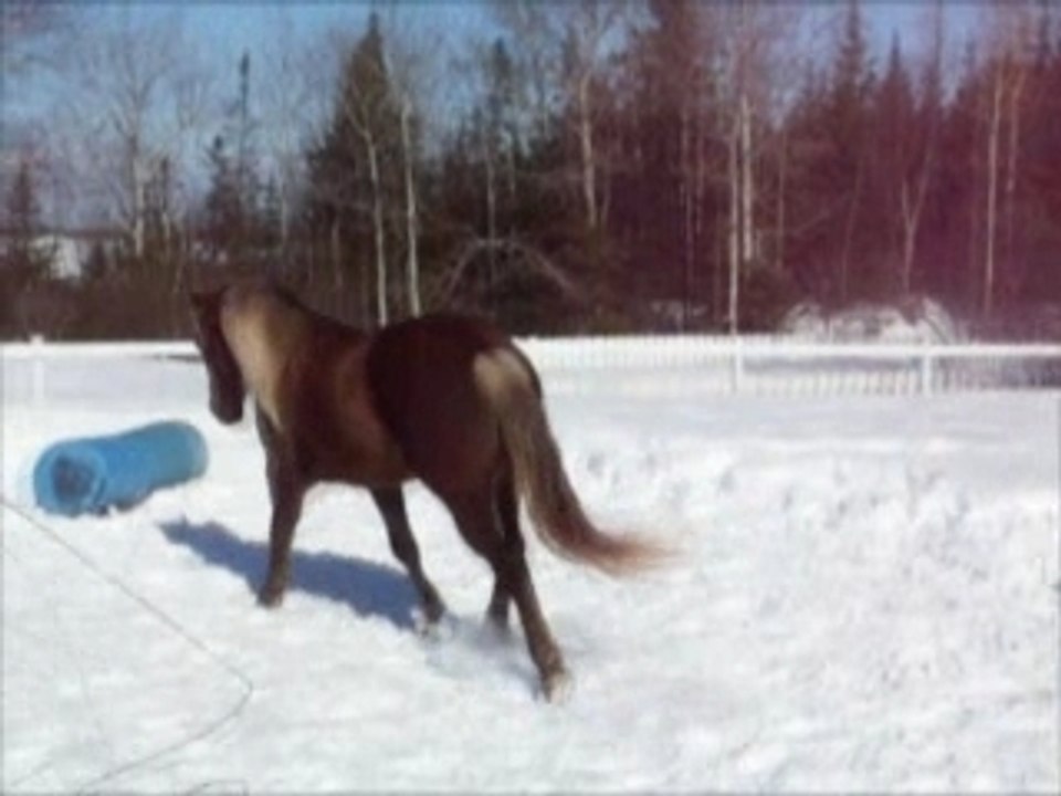 Mini video tafs Nirvana rassemblé