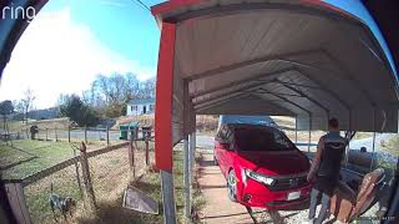 Doorbell Cam Catches Delivery Driver's Talk With Dog