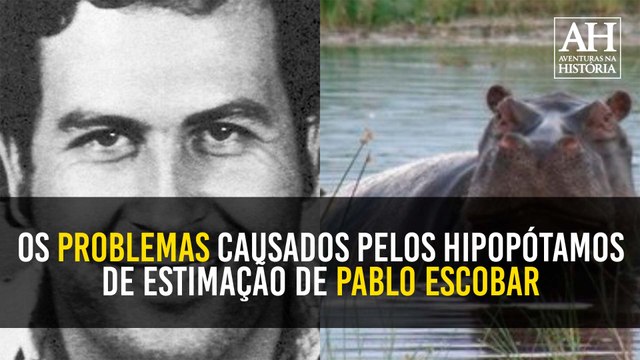 OS PROBLEMAS CAUSADOS PELOS HIPOPÓTAMOS DE ESTIMAÇÃO DE PABLO ESCOBAR