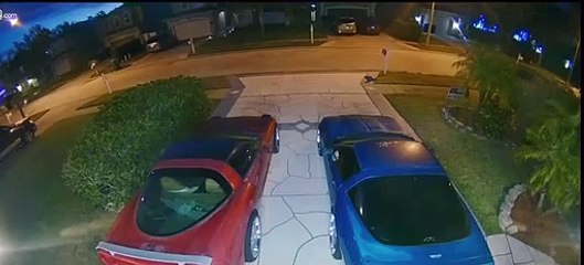 Brother Testing Toddler Bike Breaks and Flies Over Handlebars