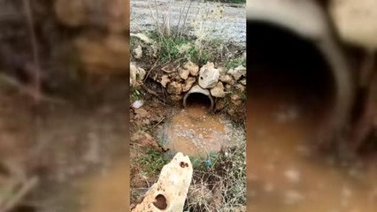 Menfezde mahsur kalan köpek ve yavrusu kurtarıldı