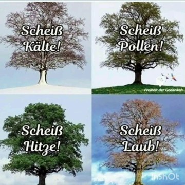 Yany backt Brezeln bis zum Lachflash*Corona Tag 626/627