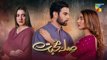 Sila E Mohabbat  Episode 40  Teaser  HUM TV Drama