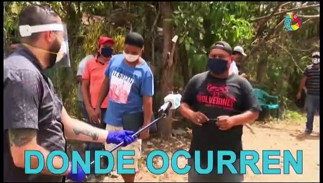 Buena Vida - Aprenda a tomar hermosos retratos familiares en estas fiestas navideñas