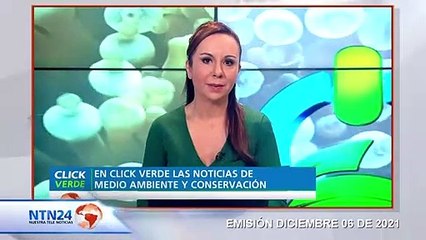 Viral y llamativa campaña de Greenpeace contra la pesca de arrastre