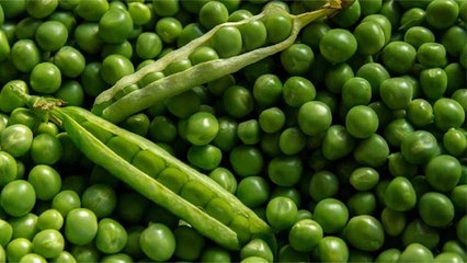 हरी मटर खाने को नुकसान,कहीं आप तो नहीं खाते जरूरत से ज्यादा मटर? | Boldsky