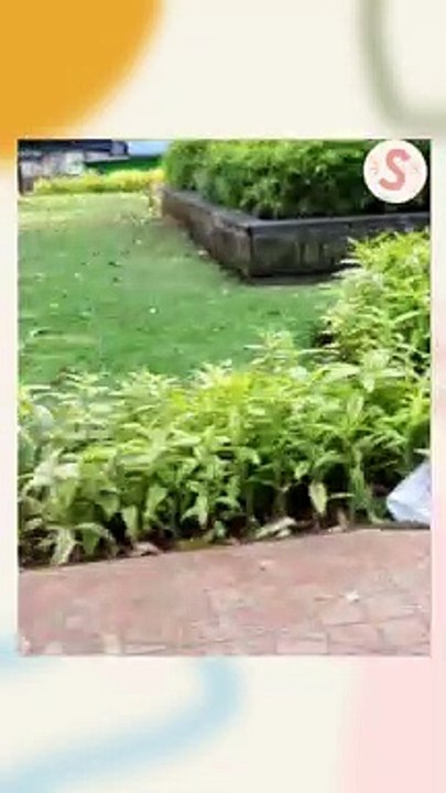 Jalan Sepi tetapi Dipenuhi Daun Berguguran