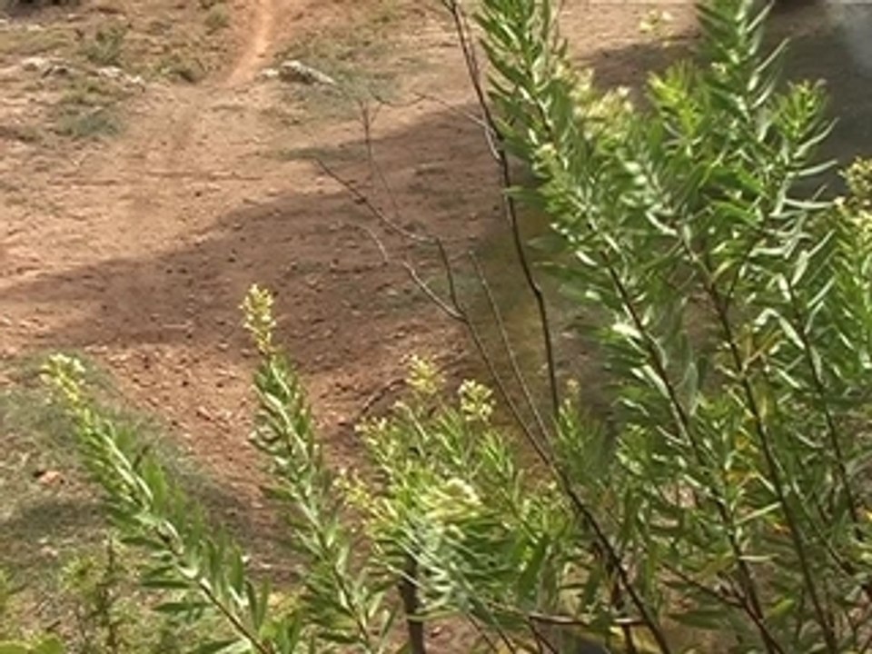 Team Hips : mauvais jeunne