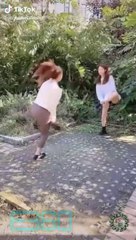 Funny video - How did they fall?