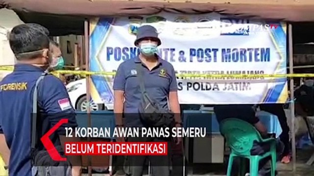 12 Korban Awan Panas Semeru Belum Teridentifikasi