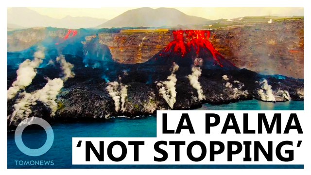 La Palma Volcano Eruption 2021: Longest Ever Eruption Coming