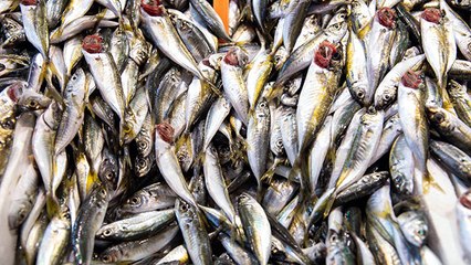 Lodos tezgahları da vurdu!