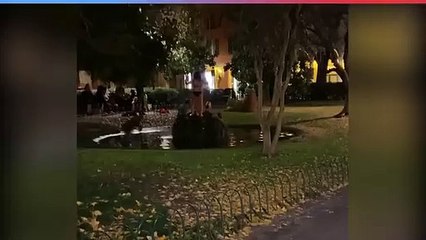 Bologna, bagno di notte in piazza Cavour. Video