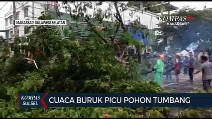 Cuaca Buruk Picu Pohon Tumbang