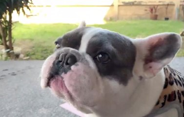 เรื่องพลบค่ำ ช่วงที่ 3 วันจันทร์ที่ 7 ธ.ค.64