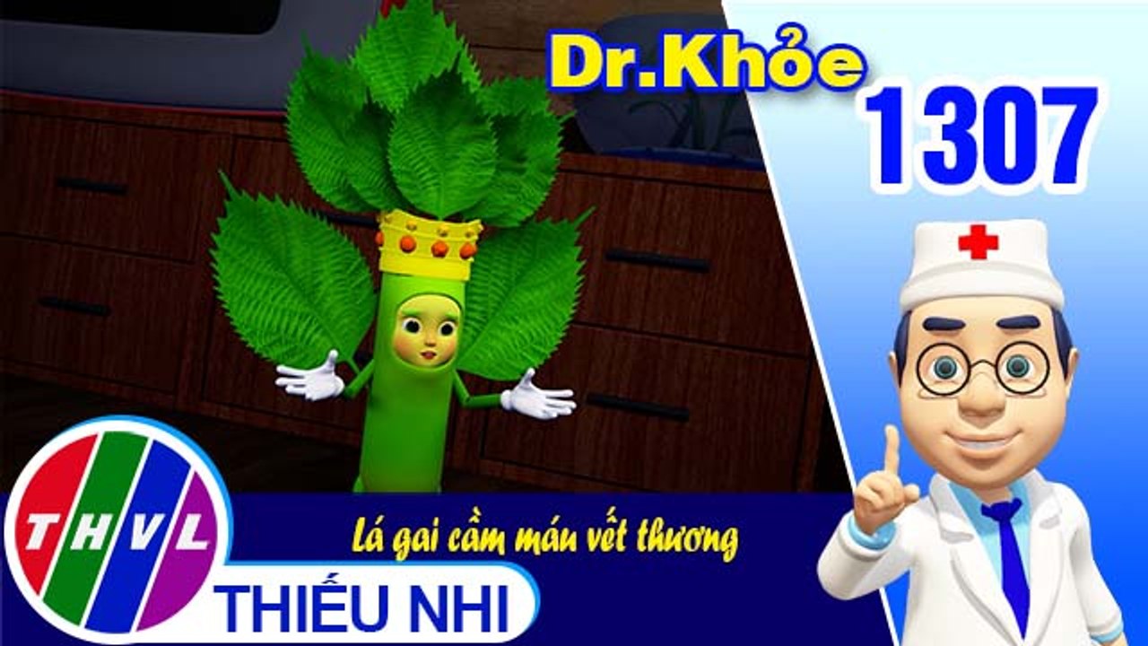 Dr. Khỏe - Tập 1307: Lá gai cầm máu vết thương