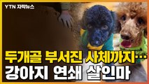 [자막뉴스] 계속 나오는 사체들...강아지 입양 남성의 충격적 만행 / YTN