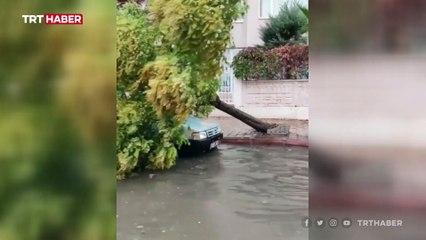 Antalya'da fırtına: Çatılar uçtu, ağaçlar devrildi