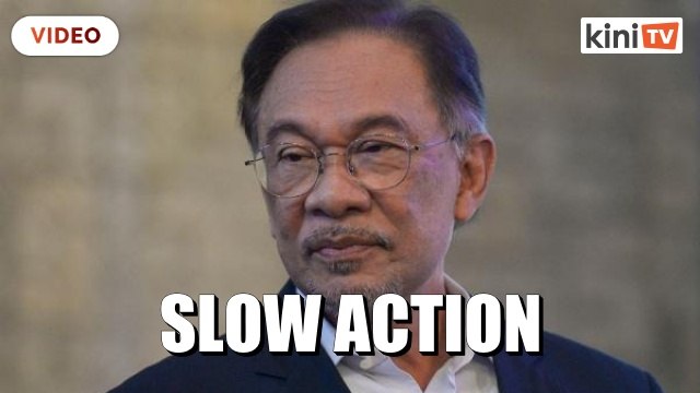 'Meeting only on Dec 9' - Anwar questions slow action over rising prices of goods