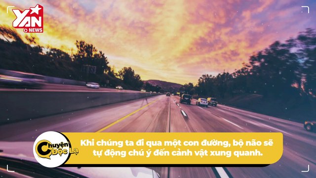 Cùng một quãng đường nhưng tại sao bạn luôn cảm thấy chiều về đi nhanh hơn? | Điện Ảnh Net