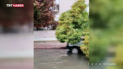 Antalya'da fırtına: Çatılar uçtu, ağaçlar devrildi