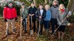 Drone footage of the new trees planted in Old Bolingbroke