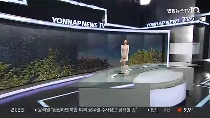 [날씨] 내일 낮동안 비교적 온화…중서부 공기질 '나쁨'