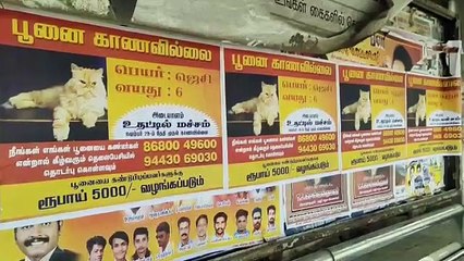 இங்க என்ன சொல்லுது.. ஜெசி, ஜெசின்னு சொல்லுதா.. கோவையே வியந்து பார்க்கும் போஸ்டர்