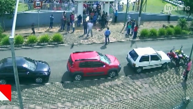 Urubu assiste à missa junto a fiéis em paróquia do Paraná