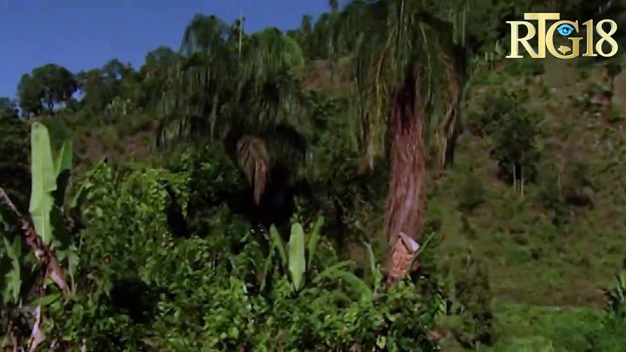 Pawas ''Marie Immaculée Conception'' Chofa, Komin Kafou ap pare pou selebre fèt patwonal yo 8 desanm