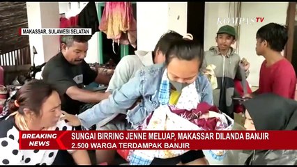 Download Video: Diterjang Angin Kencang, Pohon Setinggi 10 Meter Tumbang dan Timpa Mobil Warga