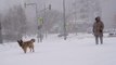 Moscow blanketed in one of heaviest snowfalls in years