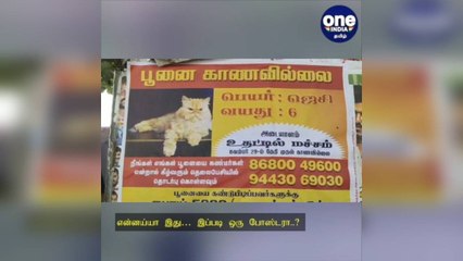 கோவை: 'என்னய்யா இது… இப்படி ஒரு போஸ்டரா'..?  மாயமான பூனை.. தேடும் ‘பாச’ உரிமையாளர்!