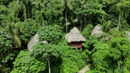 This Jungle Tree House Puts You in the Heart of the Brazilian Rain Forest