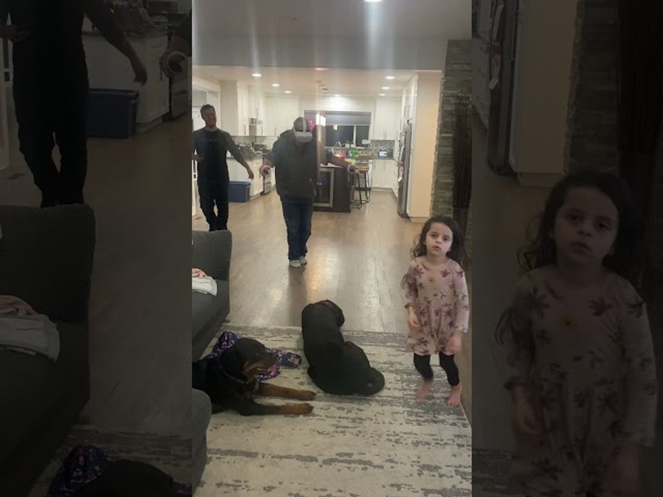 Virtual Plank Walk Causes Real World Fall