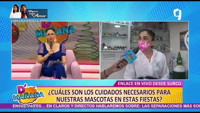 D´Mañana: conoce los cuidados que debemos tener con nuestras macotas en estas fiestas