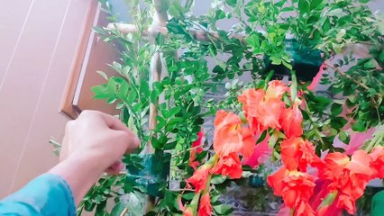 Bridal room decor | bridal room decoration