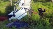 Condutor de carro morre em violenta colisão contra árvore às margens da BR-369, em Cascavel