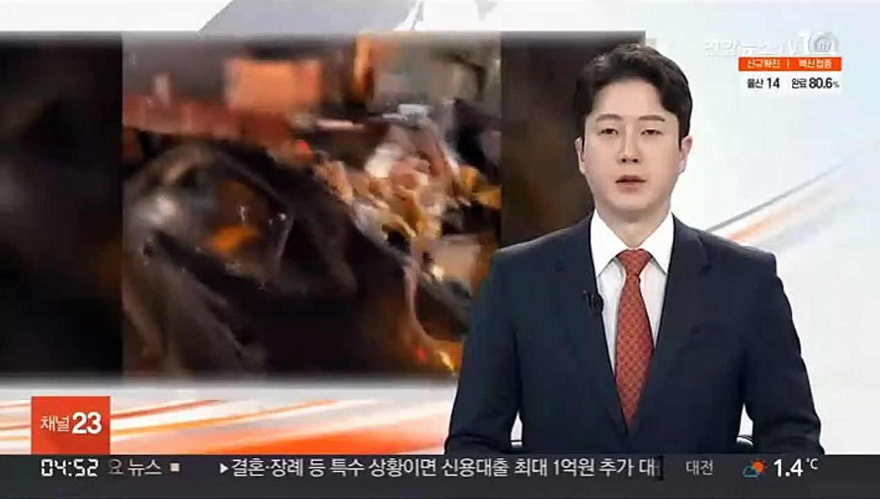 영동고속도로 양지터널서 승용차-화물차 추돌…1명 숨져