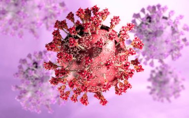 Omicron Variant May Be More Contagious But Less Lethal