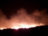 Son dakika haberi | Sultan Sazlığı Milli Parkı'nda yangın