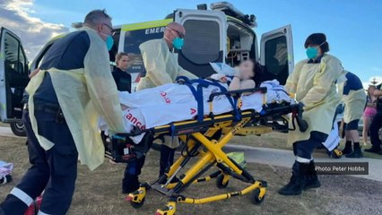 Two teenagers in hospital after suspected shark attack in Victoria