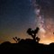 Thrillist Explorers: Milky Way Time Lapse