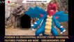 Pokemon Go Dragonspiral Descent event: Druddigon, featured Pokemon and more - 1BREAKINGNEWS.COM