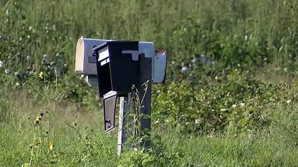 HOMICIDIO ORANGE GROVE