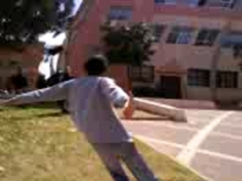 baffe de folie