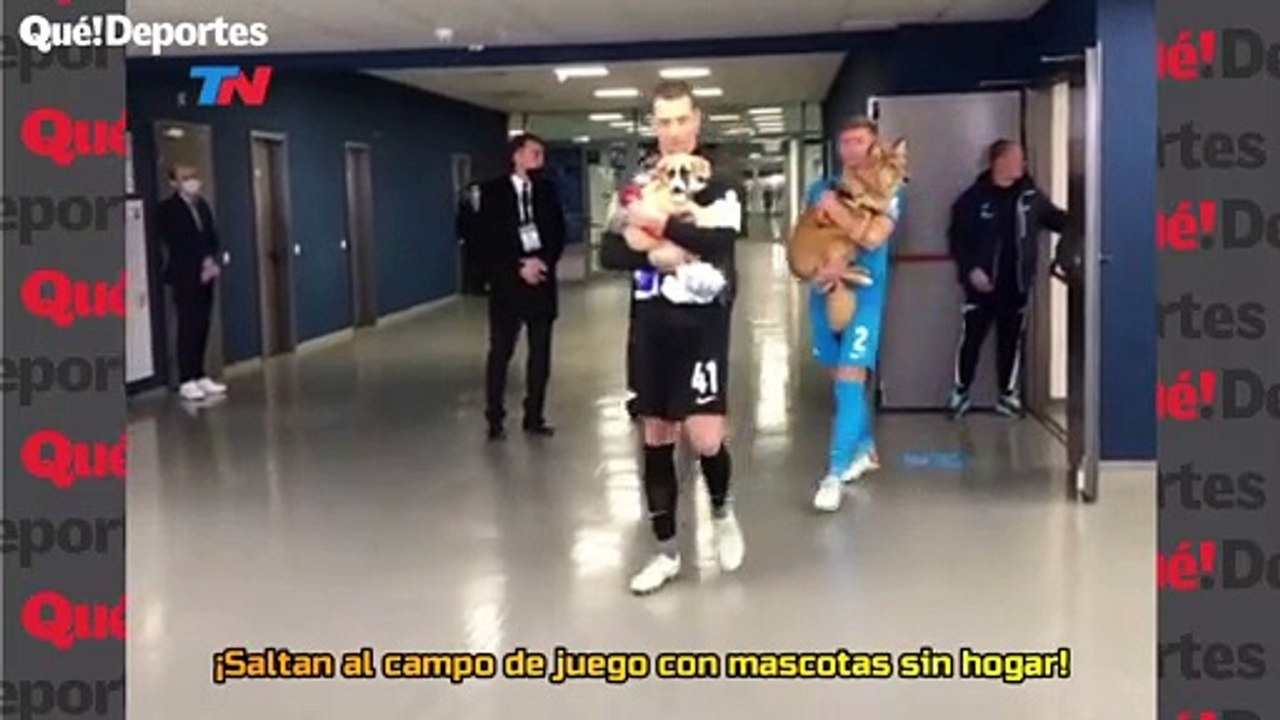 ¡Saltan al campo de juego con mascotas sin hogar!