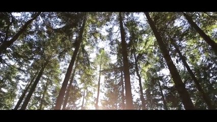 Ya Nabi Salam Alaika